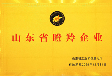淄博朗達復(fù)合材料有限公司榮獲2022年“山東省瞪